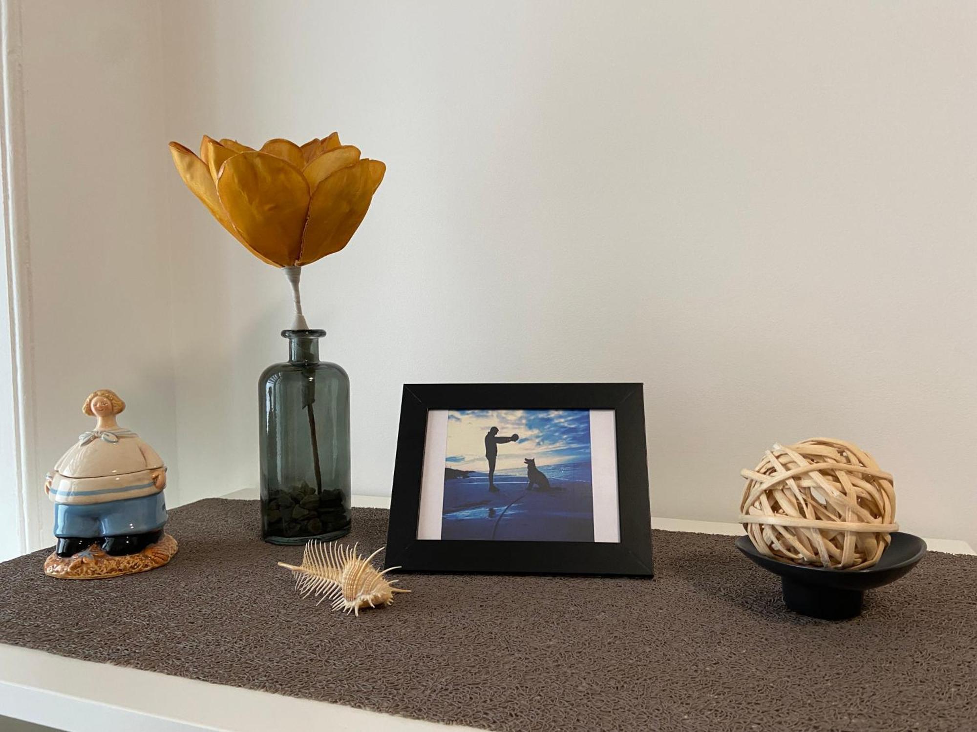 "Appartement Sur Digue" Proche De La Plage Avec Wifi 维姆勒 外观 照片